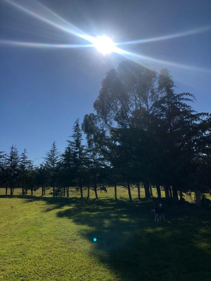 Hotel Boutique Calderon Huasca de Ocampo Eksteriør billede