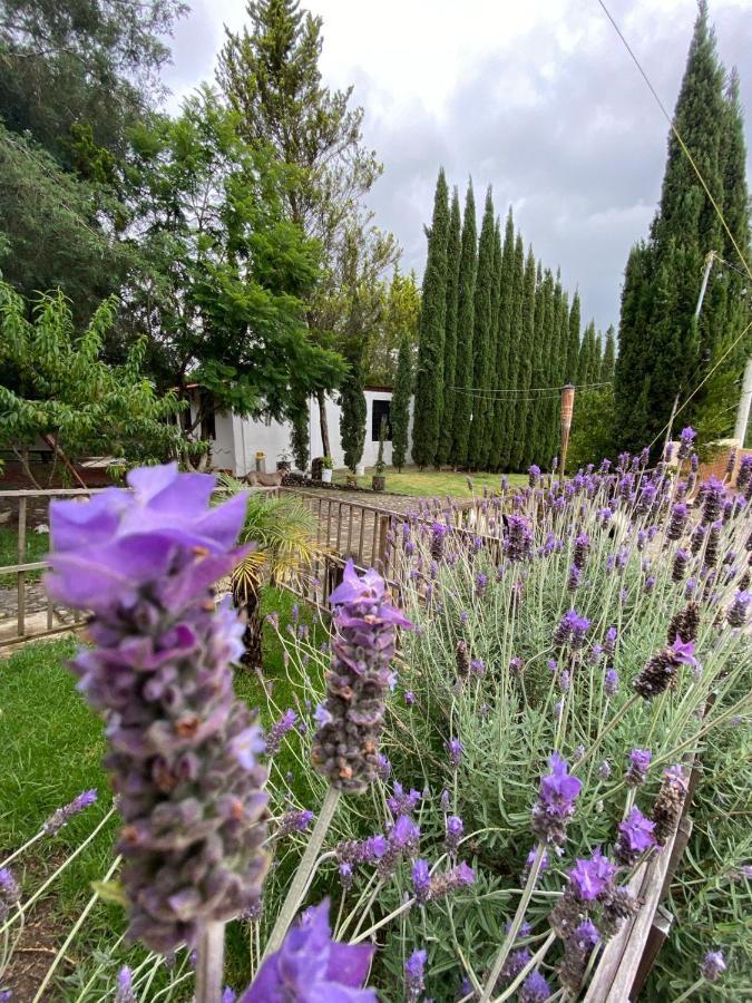 Hotel Boutique Calderon Huasca de Ocampo Eksteriør billede
