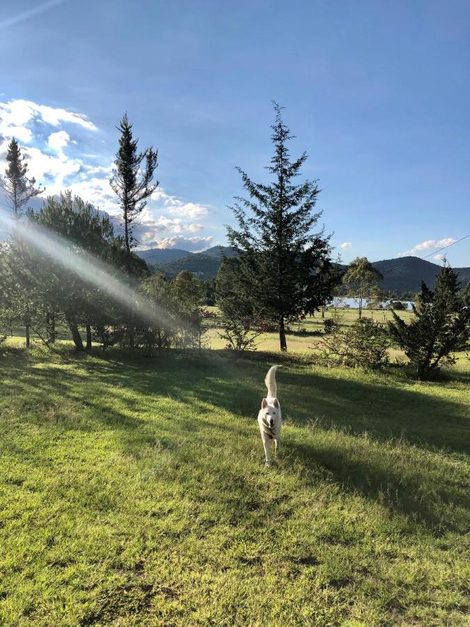 Hotel Boutique Calderon Huasca de Ocampo Eksteriør billede
