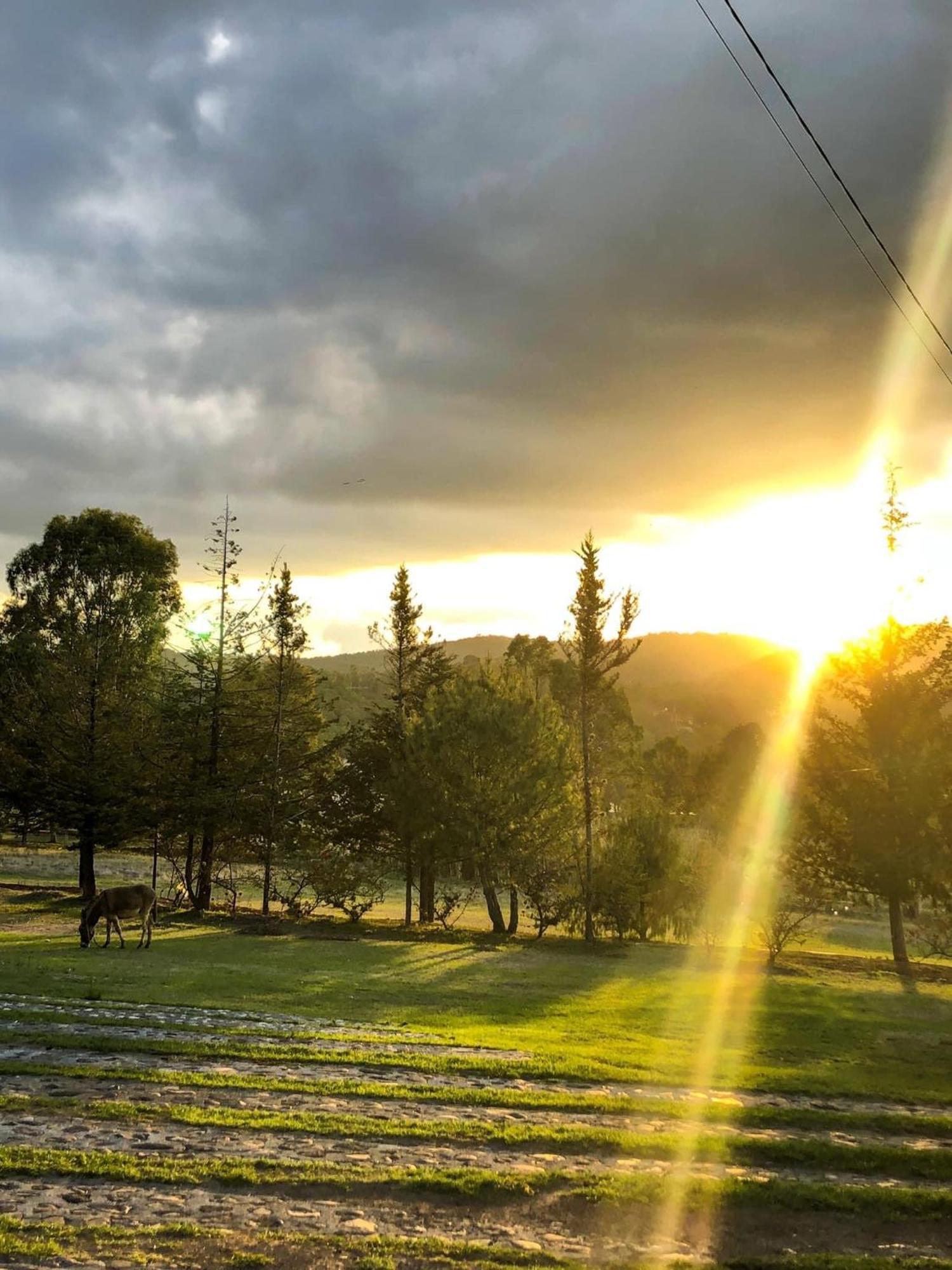 Hotel Boutique Calderon Huasca de Ocampo Eksteriør billede